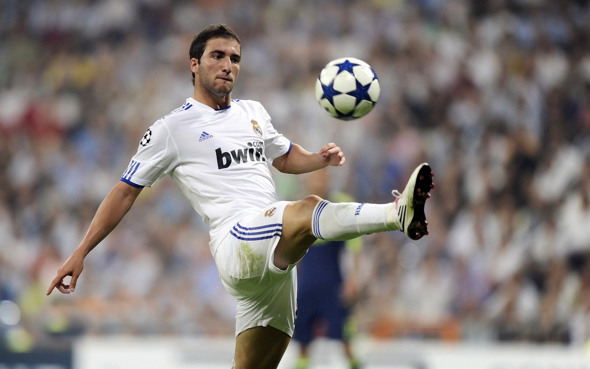 奥康纳突破防线，袋鼠队进攻更具威胁，奥康和袋鼠哪个牌子好